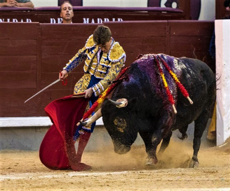 Las Ventas: Madrid Descubre A Andrés García